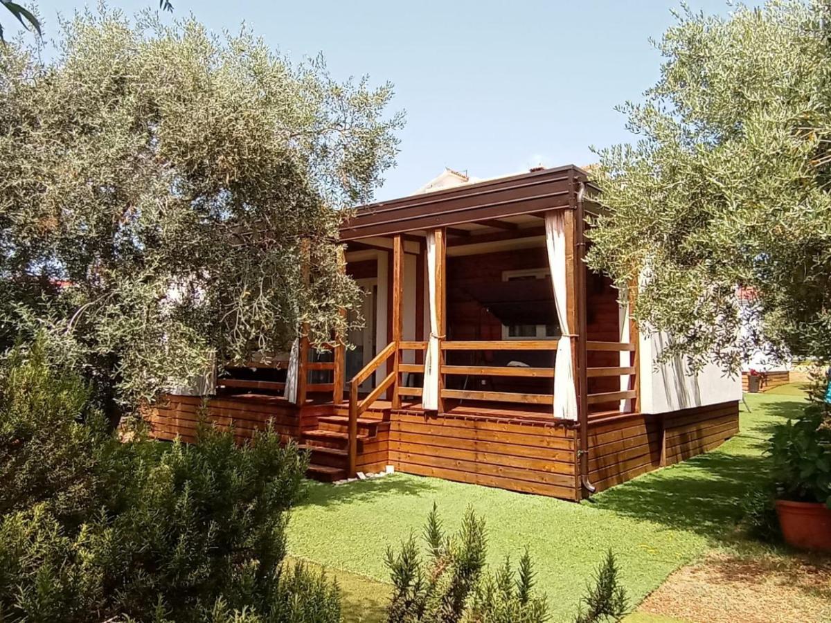 Mobile Homes Olive And Sea Bibinje Exterior foto